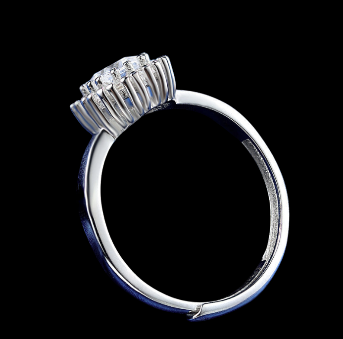 The Crown
